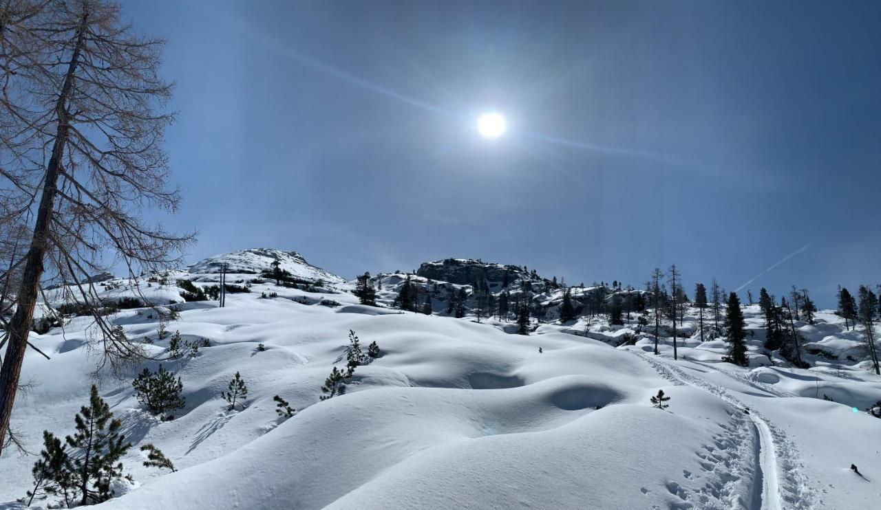 Pension Erlhof Зальфельден Экстерьер фото