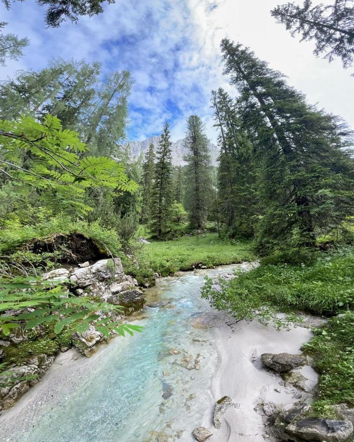 Pension Erlhof Зальфельден Экстерьер фото
