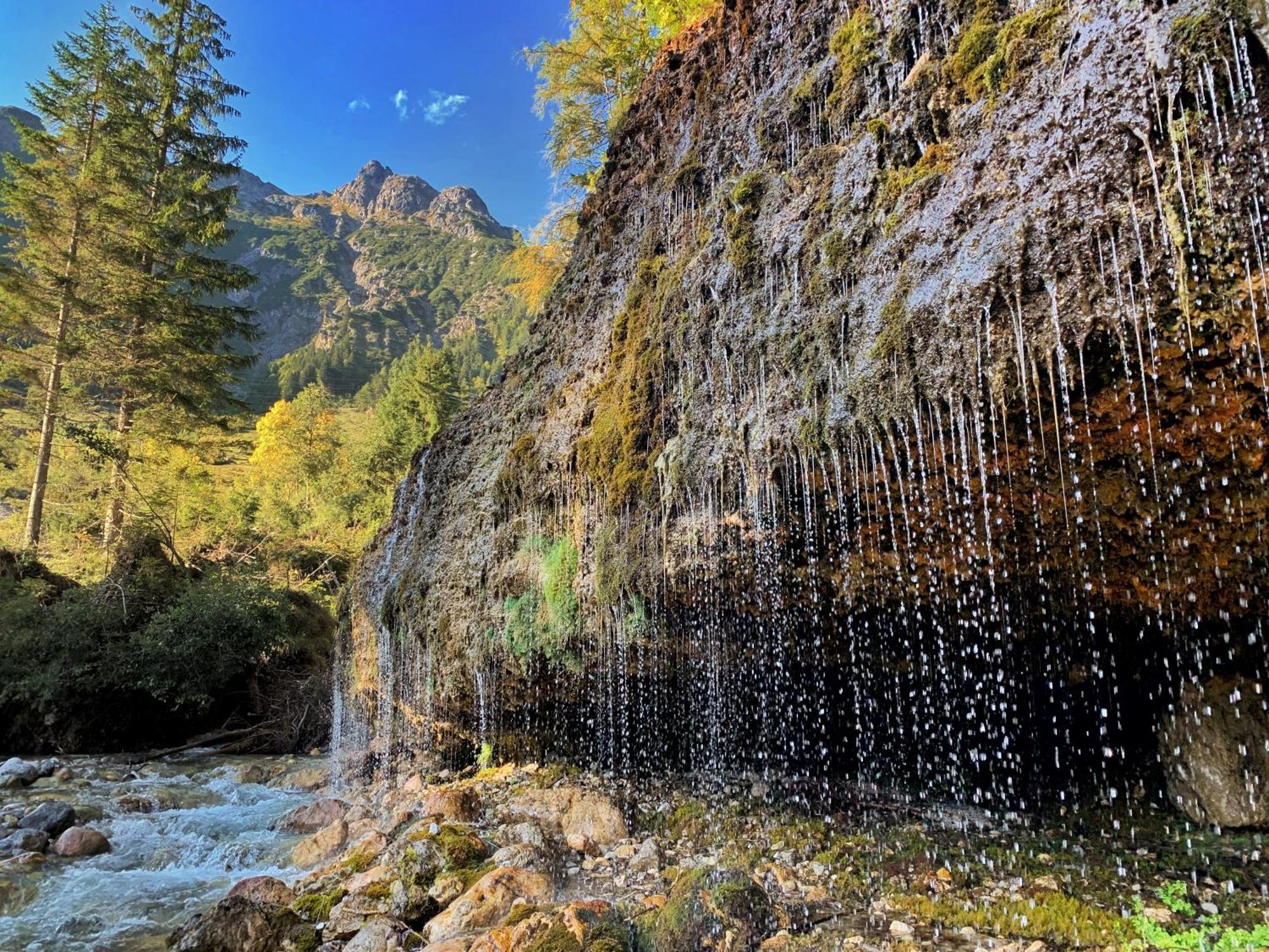 Pension Erlhof Зальфельден Экстерьер фото