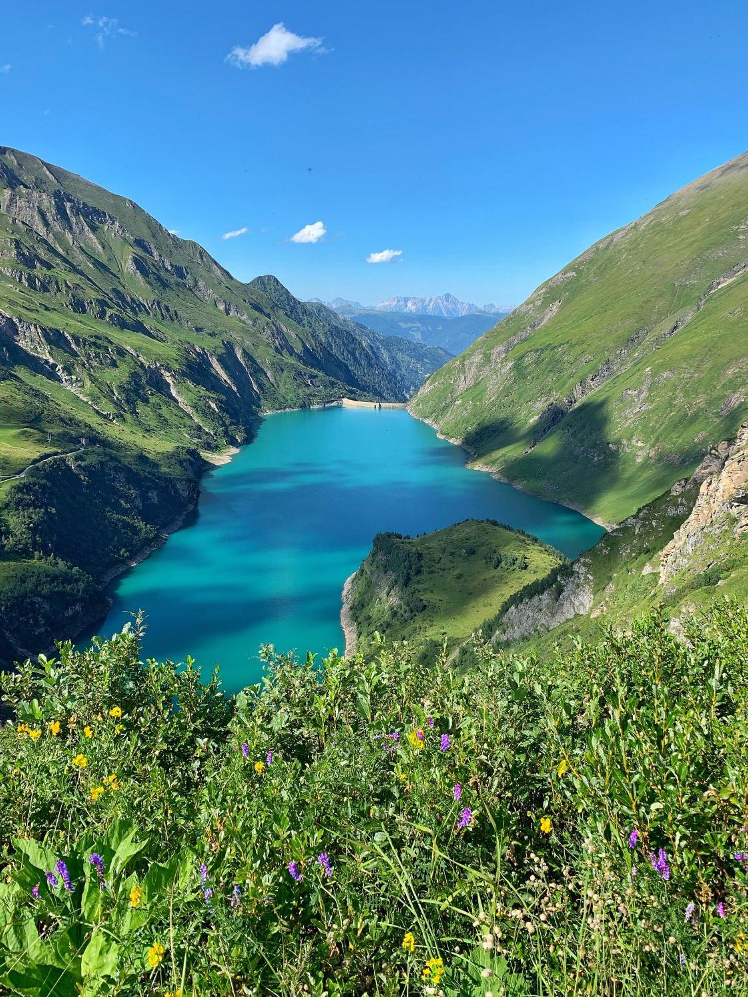 Pension Erlhof Зальфельден Экстерьер фото