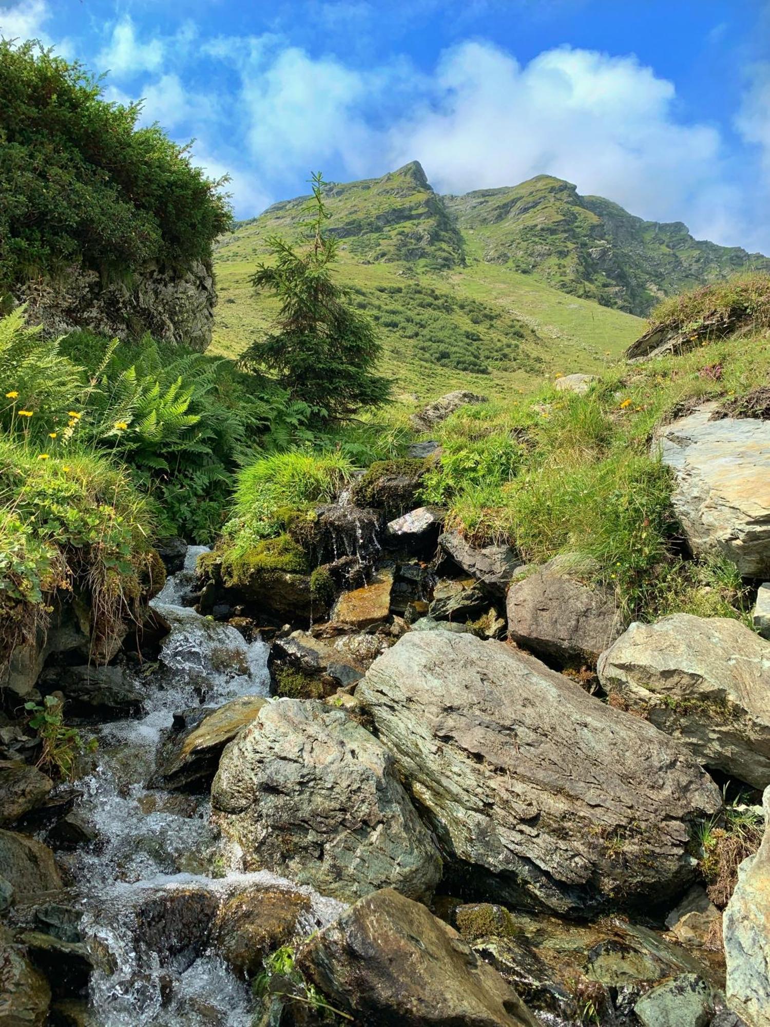 Pension Erlhof Зальфельден Экстерьер фото